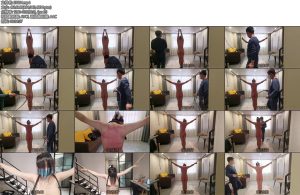 [绯影责束] 游戏购买反馈加家g笨笨的拙劣拜年游戏继续-丝依依