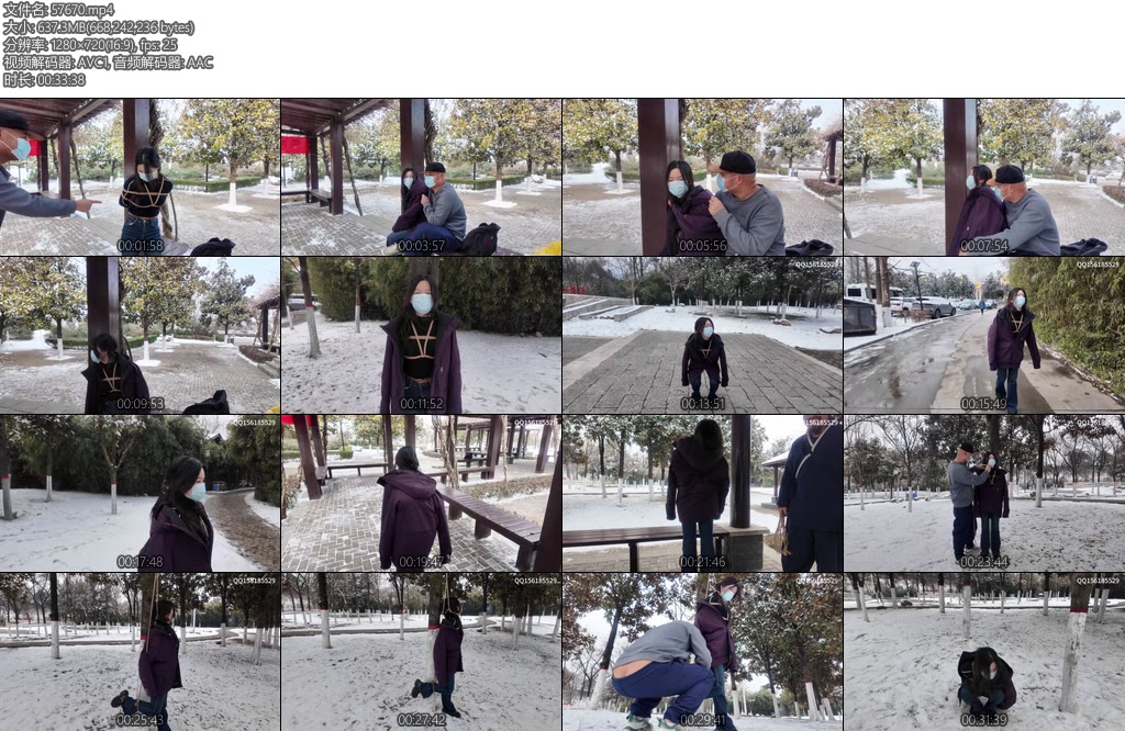 [龙飞原创] 掌握隐私要挟服从公园惊魂-丝依依