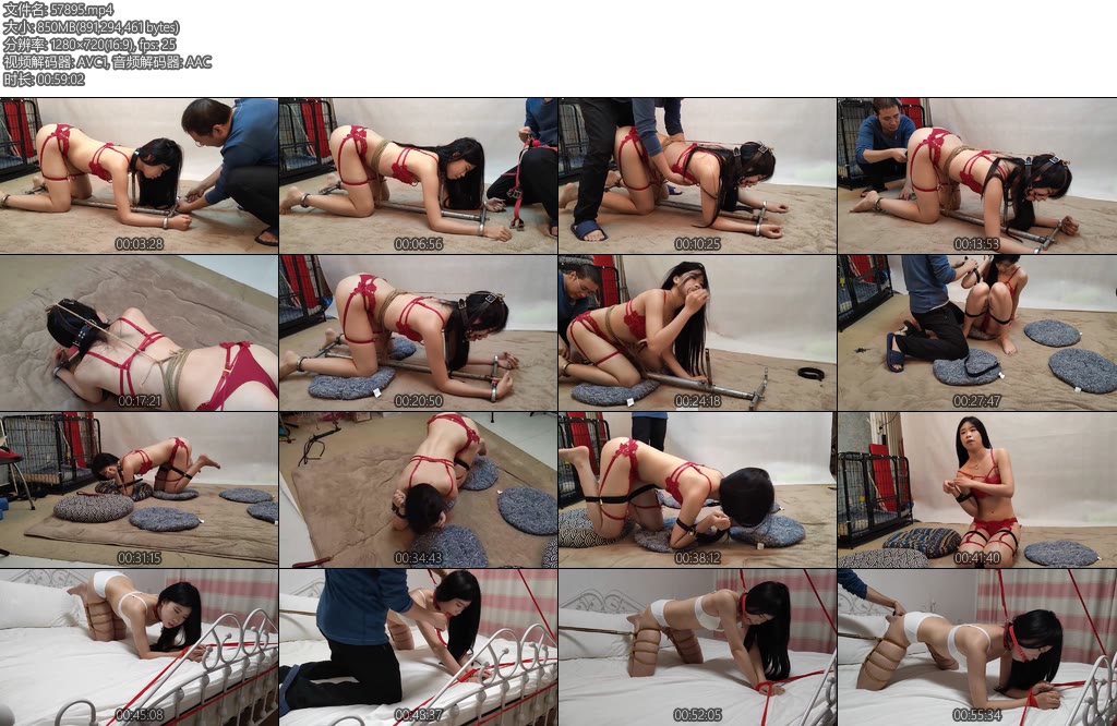 [随心原创] 杨蕊调叫美女犬肥美的蜜桃臀-丝依依