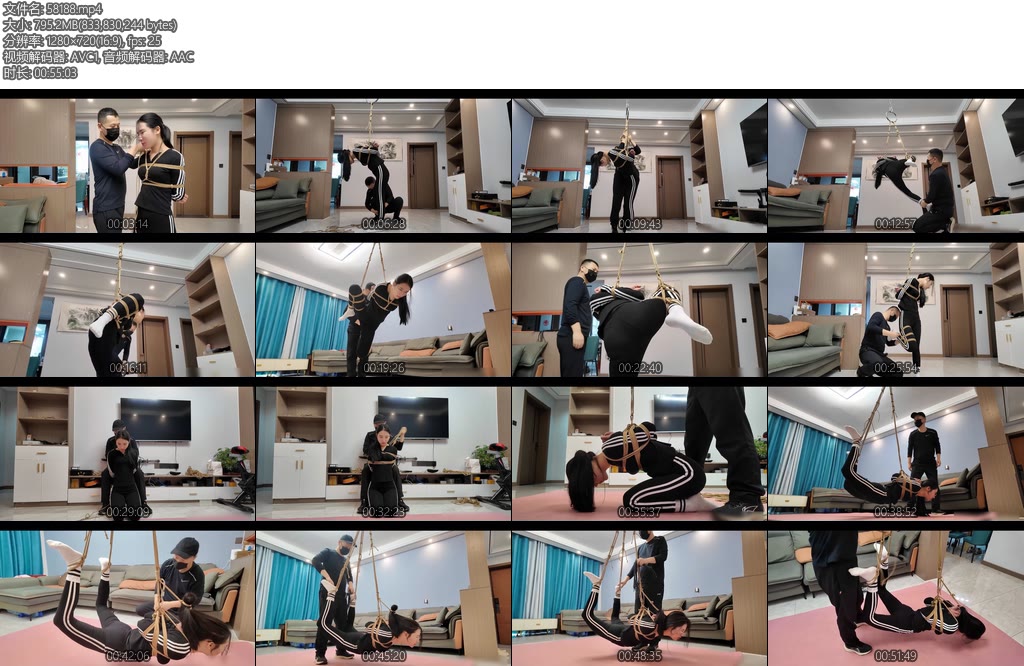 [李大侠] 空中飞人之十一上集-丝依依