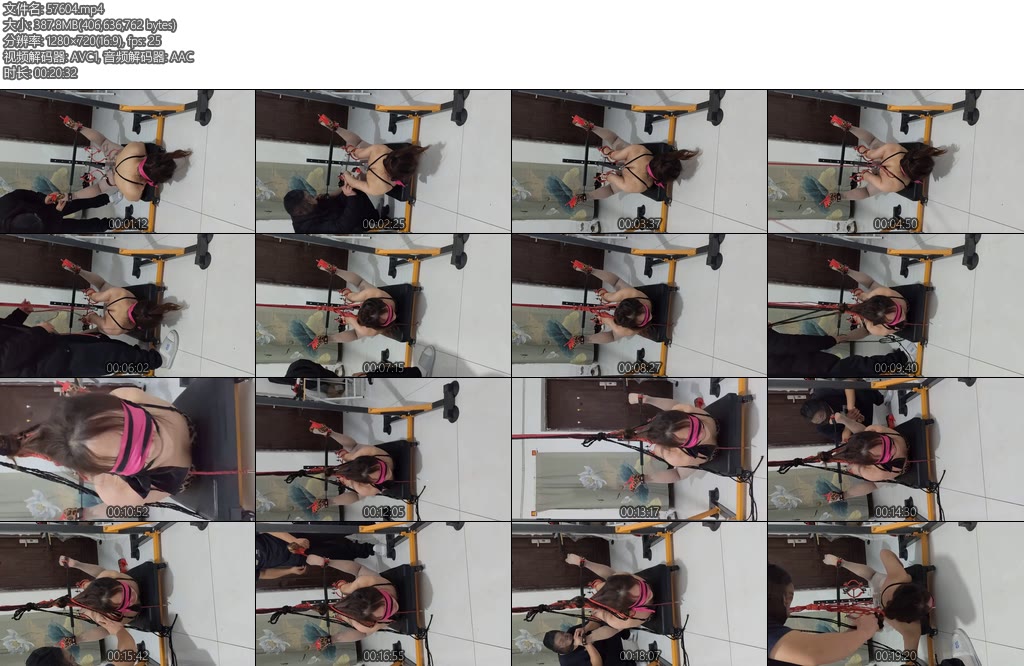 [磊哥原创] 驷马小车固定-丝依依