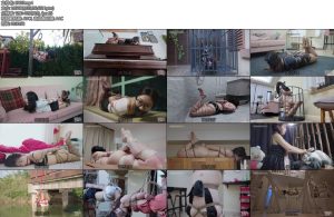 [半岛束艺] 全员马年核福利马年贺岁片射手座传说-丝依依