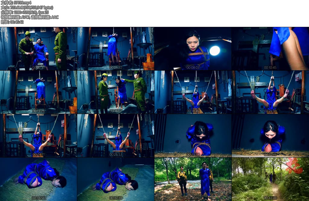 [胜景影视] 炼狱英魂下集女联络员被女特务上电刑吊刑跪刑最后英勇-丝依依