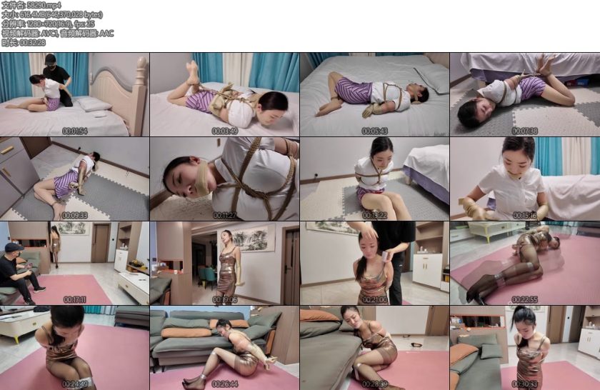 [李大侠] 绑架空姐佳佳2-丝依依