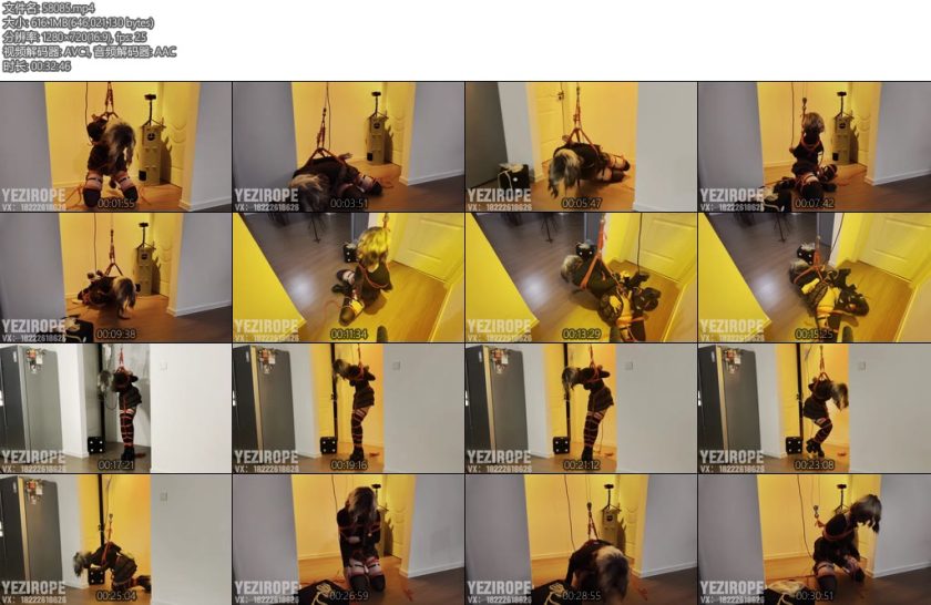 [野子绳社] 不听话的小野猫是会被吊起来的-丝依依