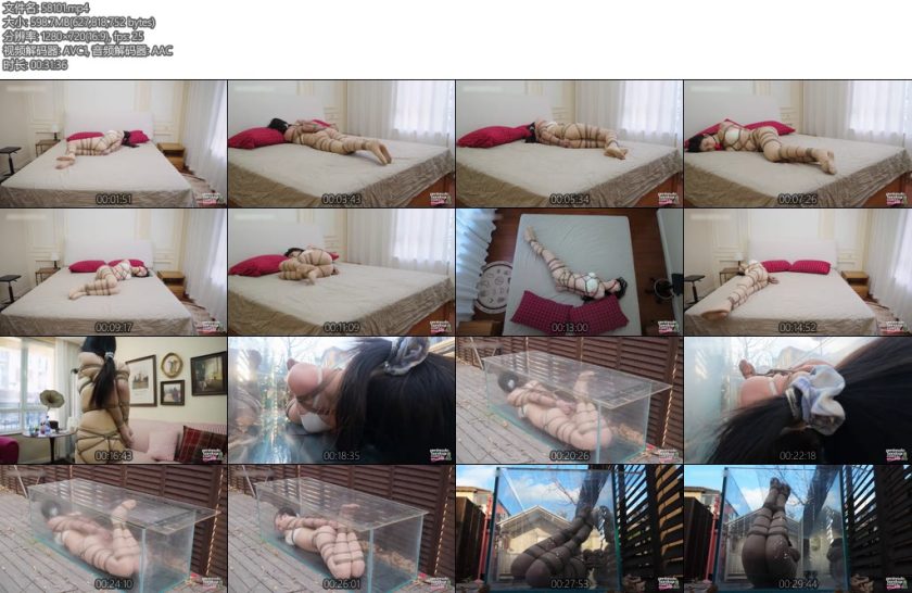 [半岛束艺] 佟司冬日里的温室-丝依依