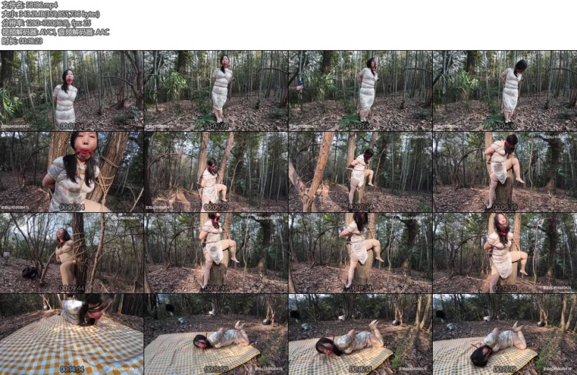 [忧郁的笨鸟] 小朵的户外小树林上部-丝依依