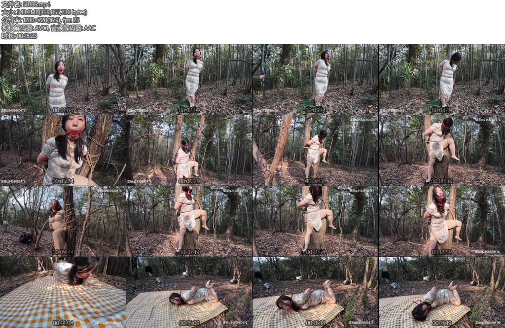 [忧郁的笨鸟] 小朵的户外小树林上部-丝依依