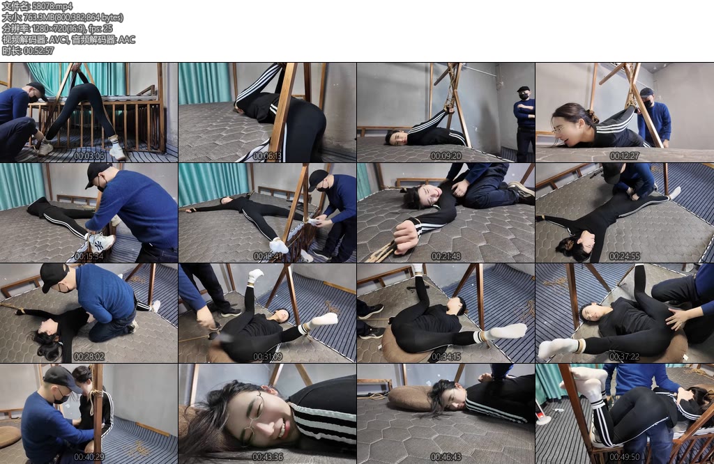 [李大侠] 绑架十一第三季下-丝依依