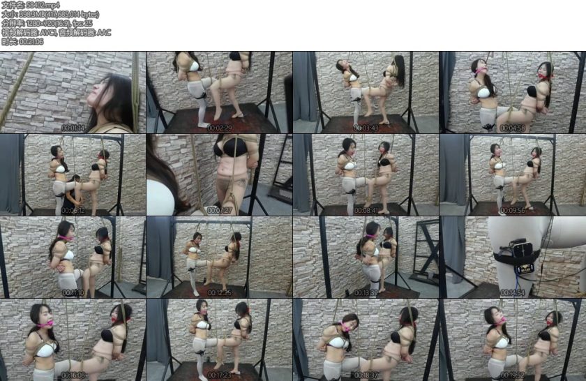 [飞天原创] 绑匪绑架了李然的女儿驴驴为了营救女儿答应了绑匪的全部要求-丝依依