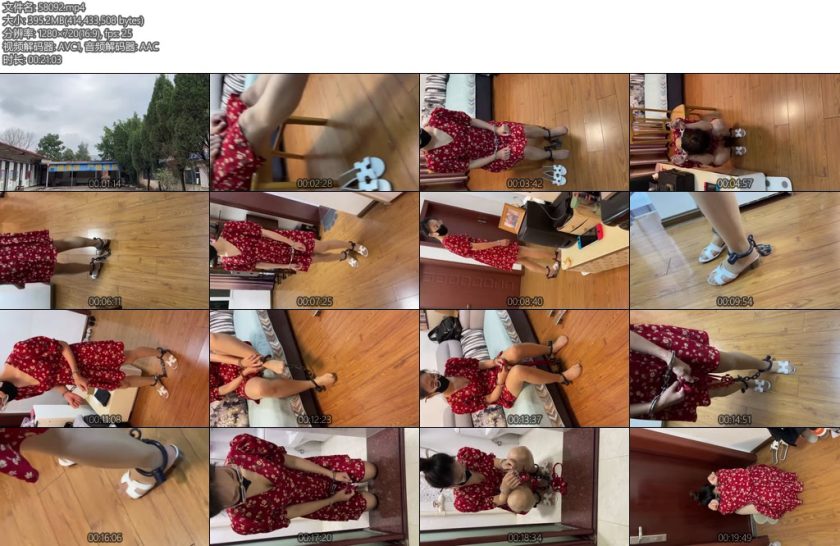 [ZhangYang] 洋洋 zhangyang女囚洋洋Ⅲ-丝依依