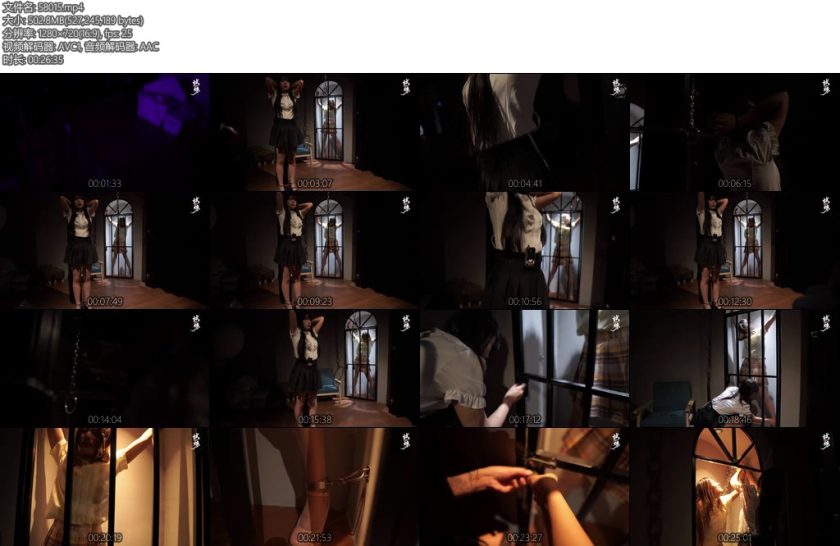 [试炼原创] 姐妹花遇难自救记驴驴希希-丝依依