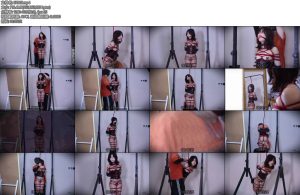 [贝特原创] MrBetter落叶的约绳日记蛇縛篇-丝依依