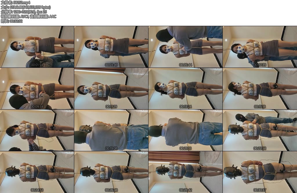 [江山原创] 文慧透视装捏爆双乳剥夺感官郊狼电击-丝依依