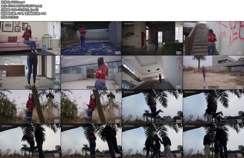 [半岛束艺] 星眠冬天的椰子树-丝依依