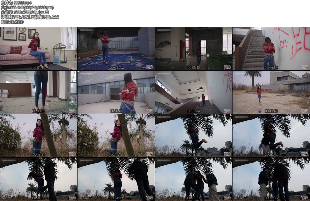 [半岛束艺] 星眠冬天的椰子树-丝依依