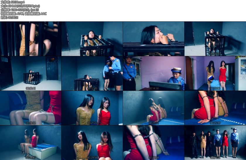 [胜景影视] 四集连续剧秘密押送第二集两女毒贩在笼子里受折磨认罪伏法戴臂铐监管被判死刑-丝依依