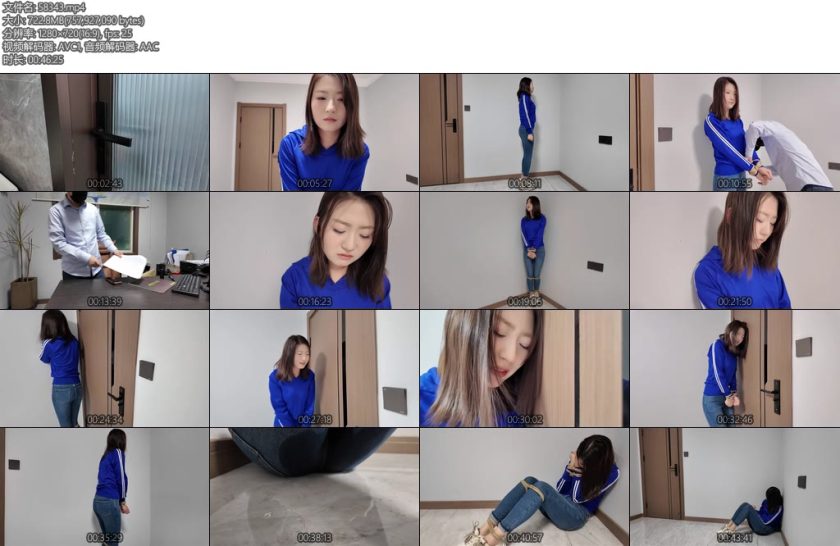 [李大侠] 迟到的晓琴-丝依依