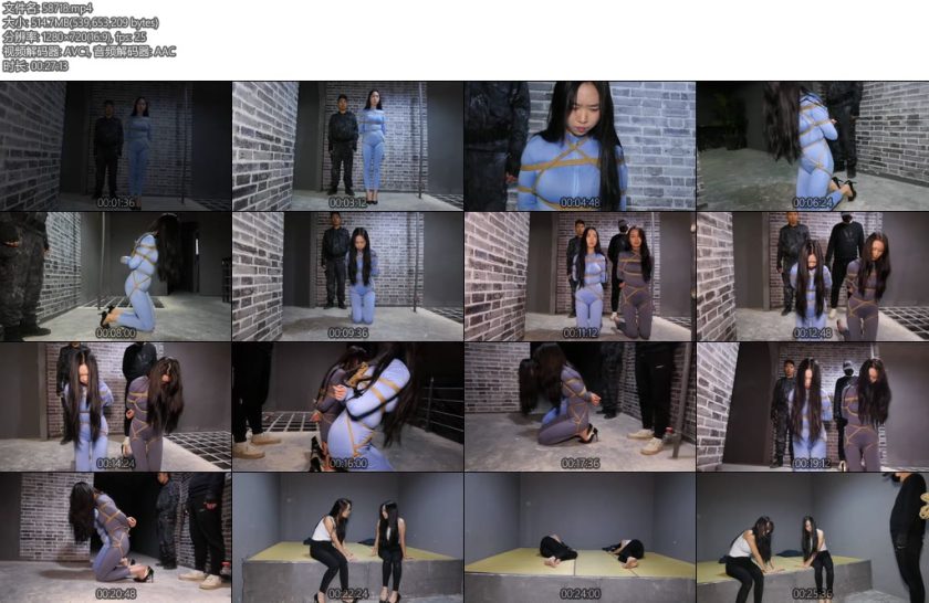 [胜景影视] 中世纪神奇女郎-丝依依