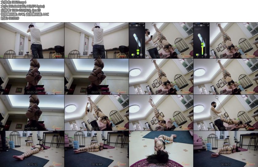 [半岛束艺] 幼狮有奖问答遥控的挂件中-丝依依