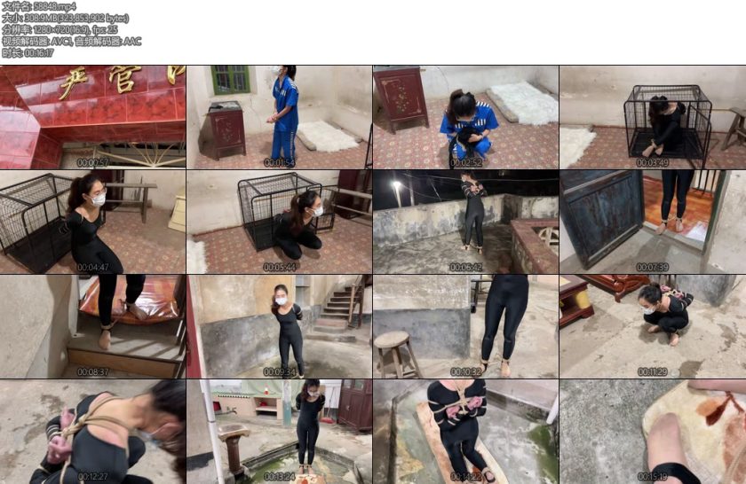 [zhangyang] 洋洋执行记Ⅳ-丝依依