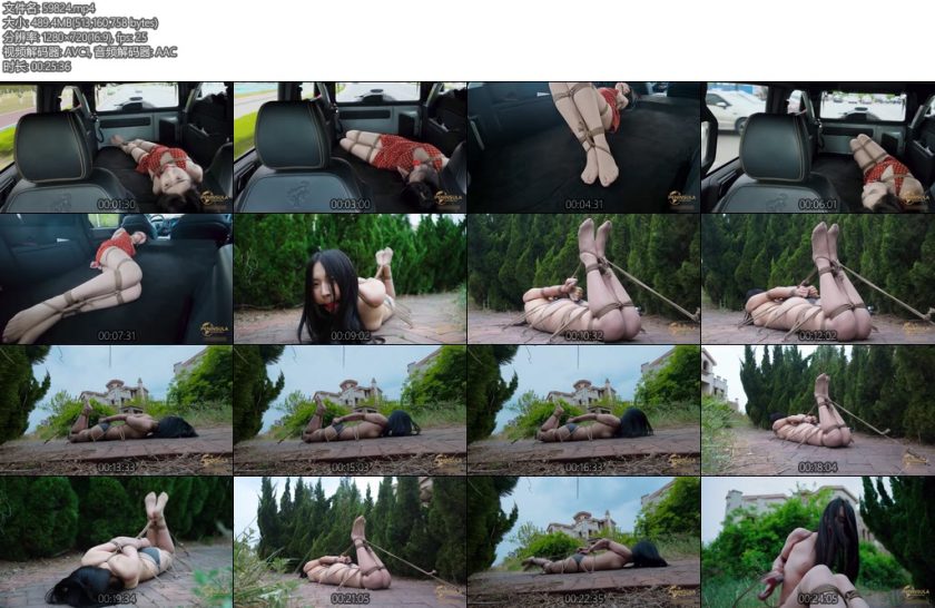 [半岛束艺] 佟司愤怒的汽车-丝依依