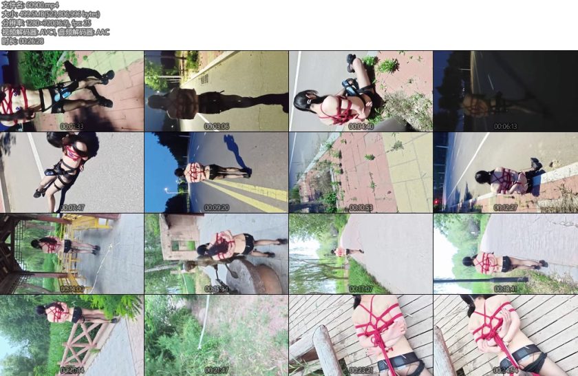 [一颗露露子] 户外捆绑篇15露露全裸捆绑穿戴飞机杯马路中央榨精郊狼肛钩折磨刺激户外极限驷马逛街从晚上到天亮-丝依依