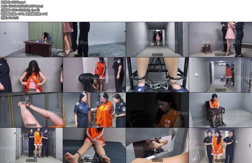 [忘忧社] 张海丽因涉嫌走私罪被捕她坚称自己未犯法并拒绝交代jc对她进行审讯和体检并拍照留档张海丽被指控与公司财务问题有关逃税走私并贩卖文物-丝依依