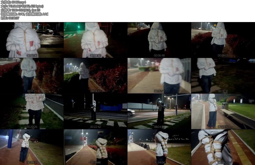 [绯影责束] 户外欧式直臂五花路口监控下放置-丝依依