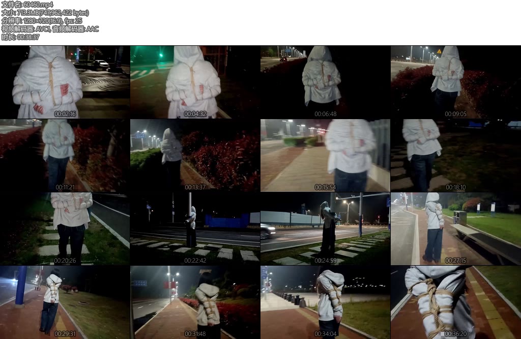 [绯影责束] 户外欧式直臂五花路口监控下放置-丝依依
