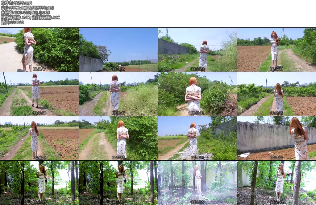 [子衿原创] 小梦郊游-丝依依