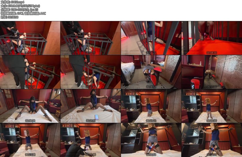 [意之窗] 汤圆OL装啵啵贝狗笼头笼狗爬sp震动棒凌辱儒夹手部固定铁链鞭子对镜-丝依依