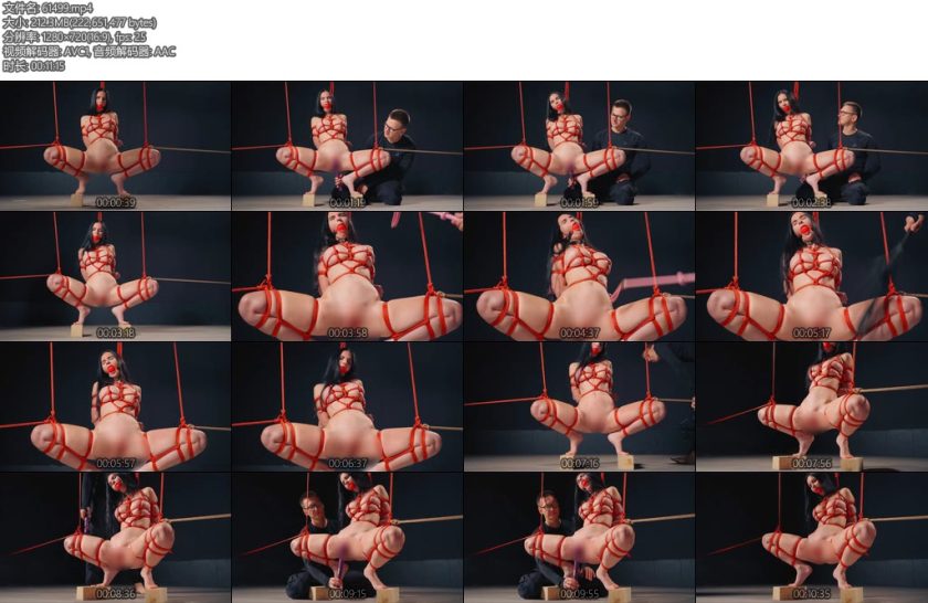 [欧美绳艺] PUSSY WHIP SANGINI-丝依依