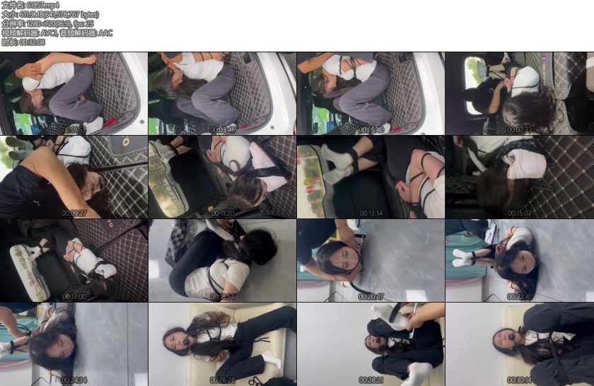 [摩尔泰] 雨天女大学生放学路上遭遇绑架1-丝依依
