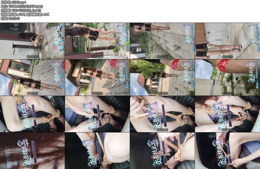 [水叁枝] 小水的度假区户外调教-丝依依