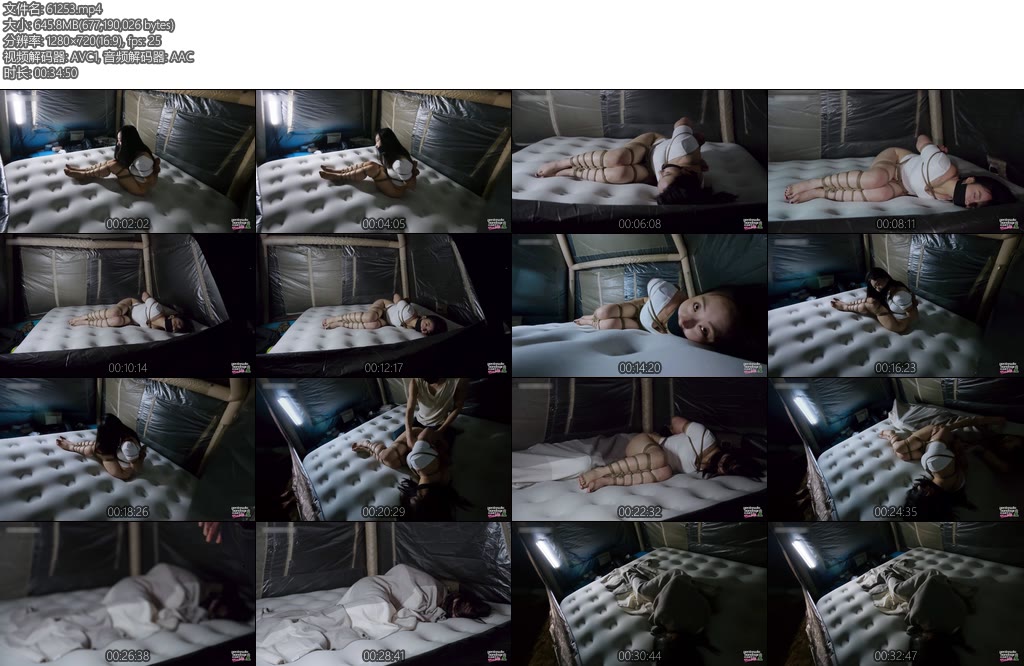 [半岛束艺] 奎因黑夜里的一丝光明-丝依依