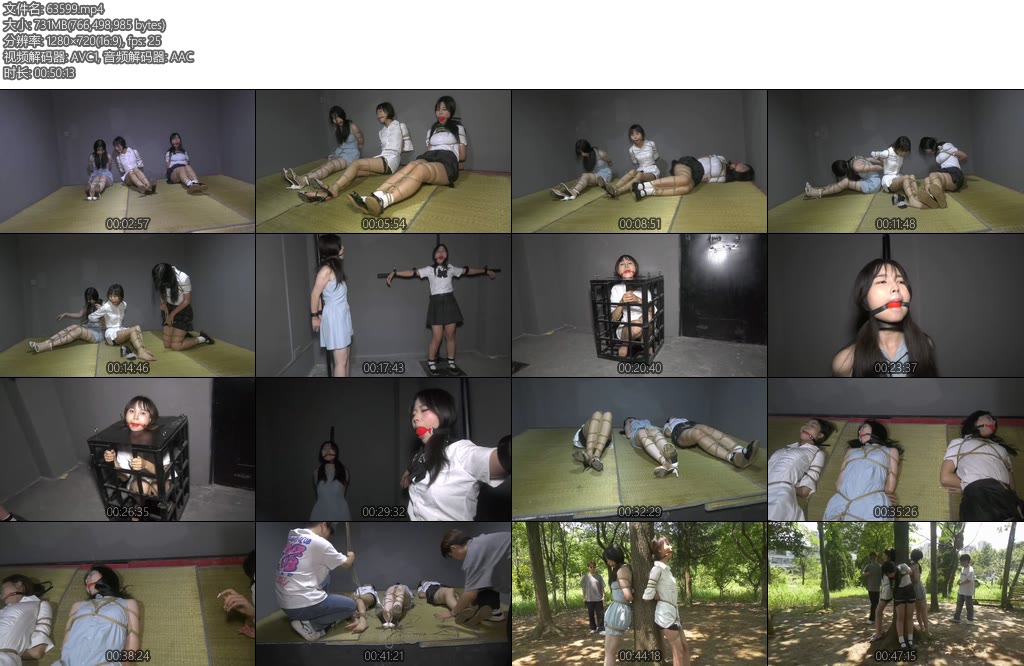 [胜景影视] 踏青惊魂记三名女大学在野外踏青被人贩子绑架到地牢折磨转手卖给夜总会-丝依依