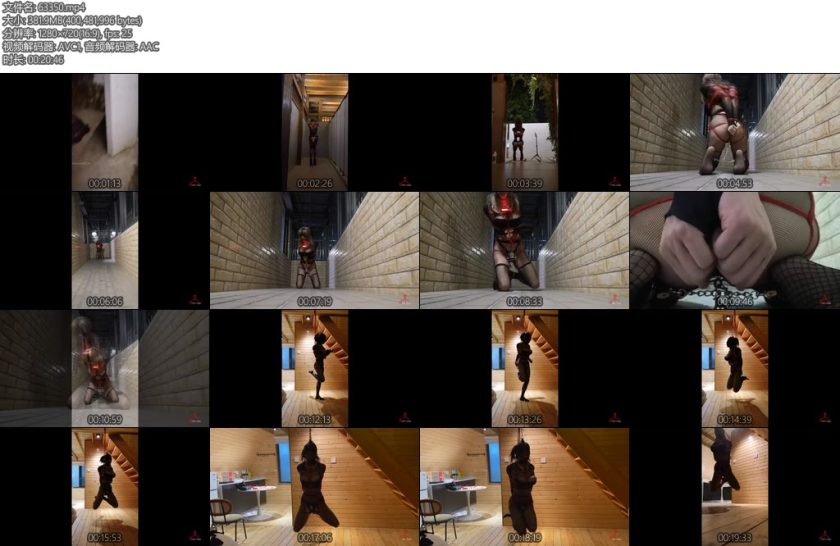 [CD伪娘] 小诡的自缚161自缚夜探女子公厕-丝依依