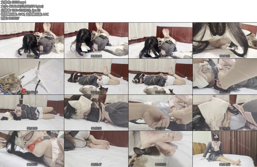 [司念念] 念念和小猫被绑在一起的一天三种堵嘴测试 脚上涂猫条喂猫咪结尾附赠拜访-丝依依