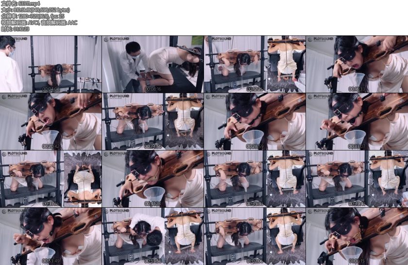 [PlotBound] BDSMAcademic在被固定成痛苦的姿势且被钩住的情况下同时被持续电击被随机鞭打和挠痒的状态下不同堵嘴道具对流口水的量的影响的研究试验上-丝依依