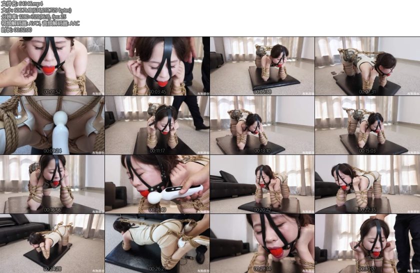 [一丝布狗] 森森的K9小犬缚-丝依依
