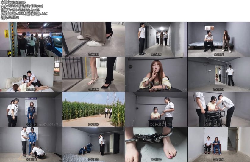 [编号她] 难逃法网-丝依依