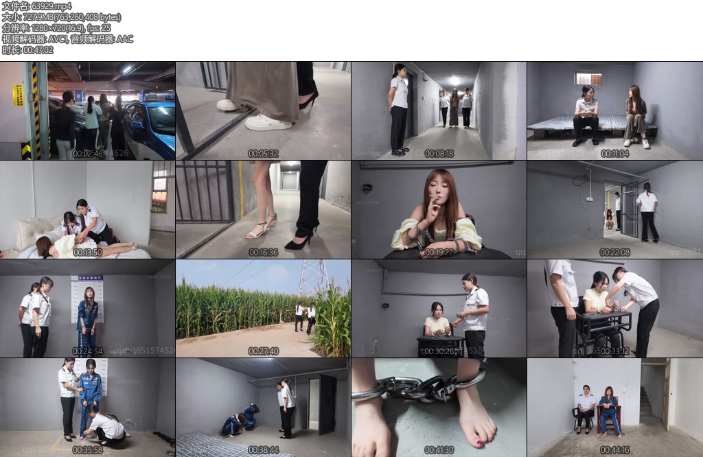 [编号她] 难逃法网-丝依依