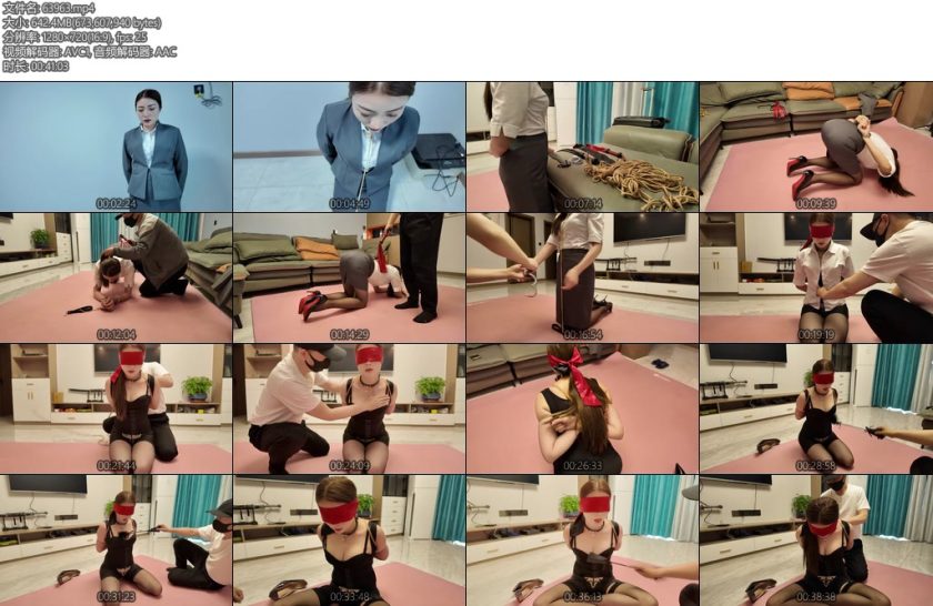 [李大侠] 我的秘书之佳佳-丝依依
